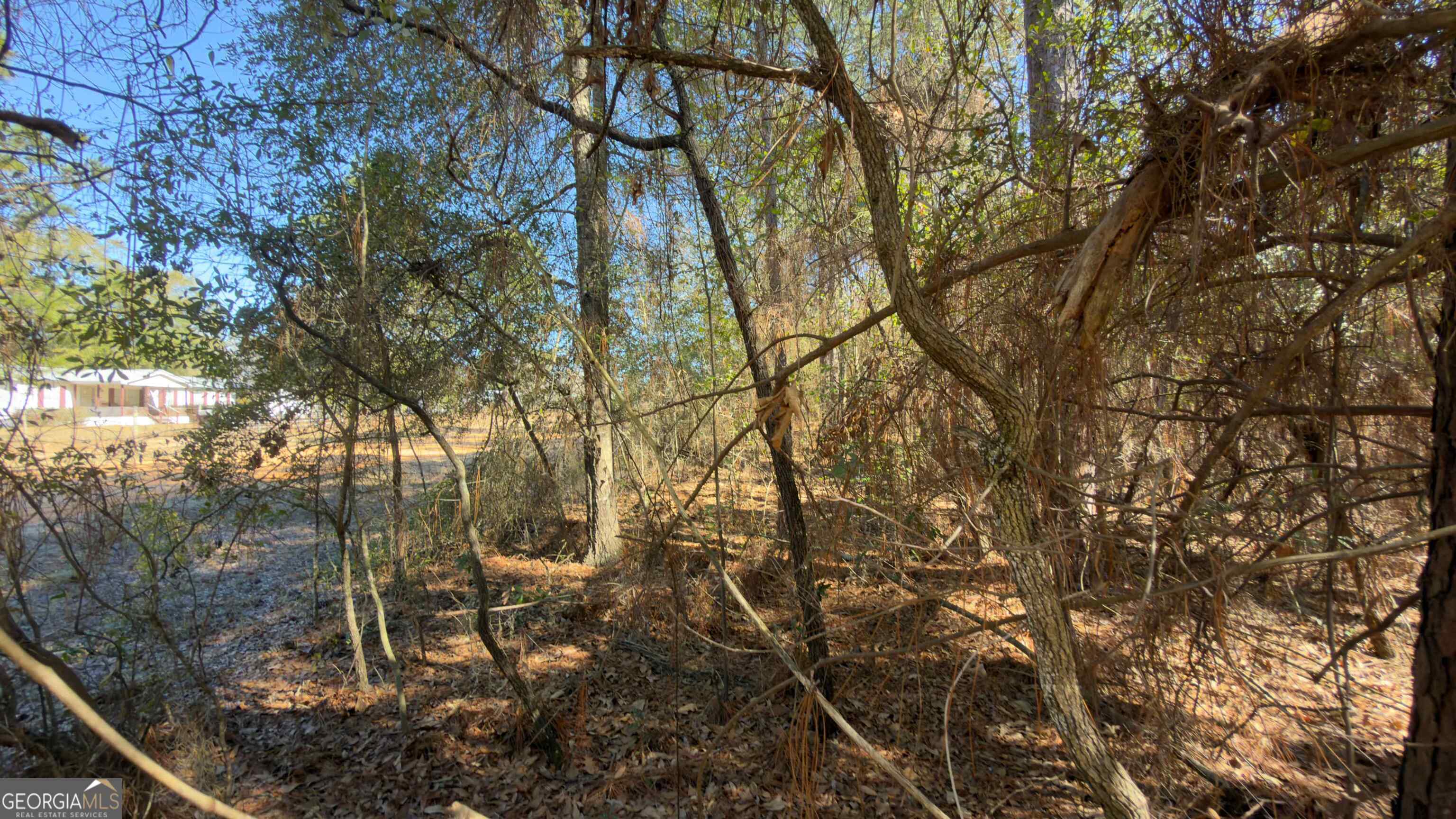 91 Lake Carroll Drive Property Photo 18