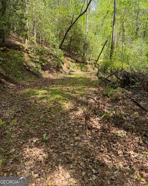 348 Hemlock Trail Property Photo 3