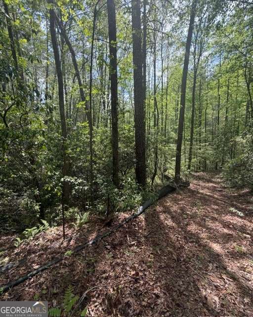348 Hemlock Trail Property Photo 5