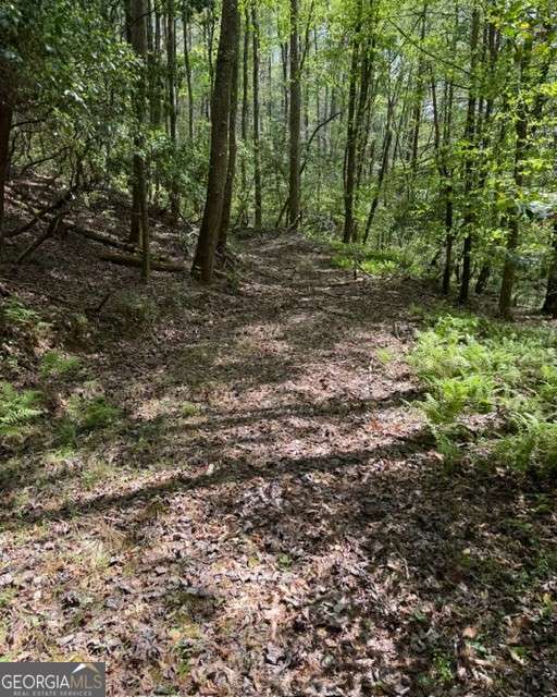 348 Hemlock Trail Property Photo 6