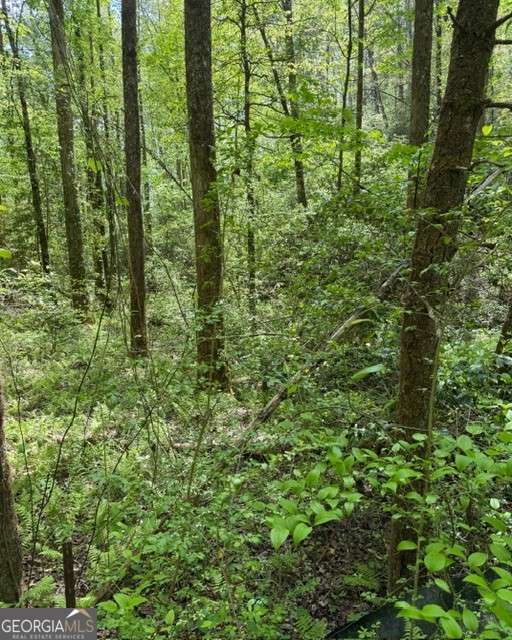 348 Hemlock Trail Property Photo 7