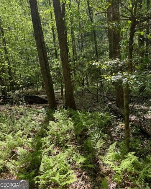 348 Hemlock Trail Property Photo 8