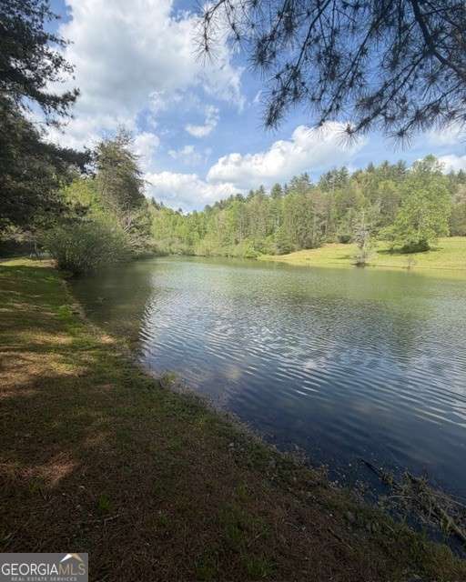 348 Hemlock Trail Property Photo 9