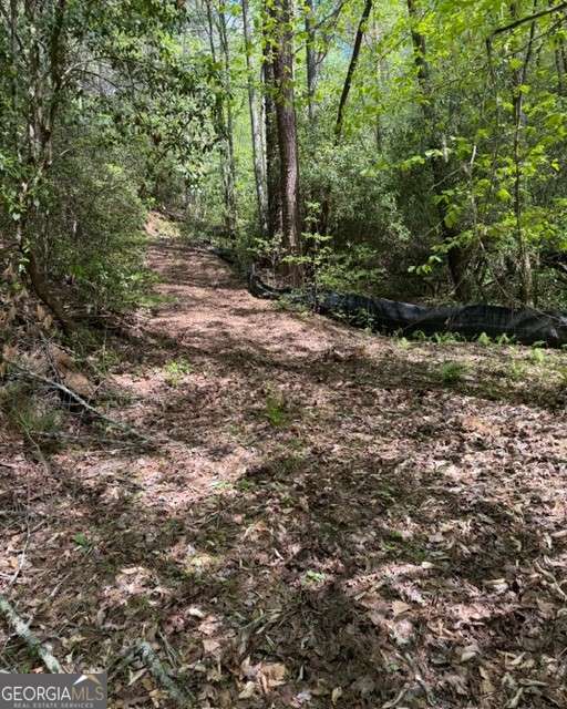 348 Hemlock Trail Property Photo 12