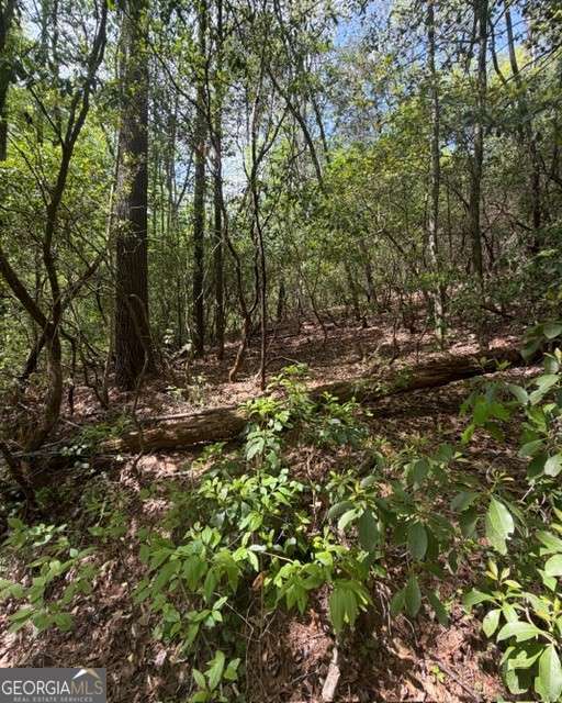 348 Hemlock Trail Property Photo 13