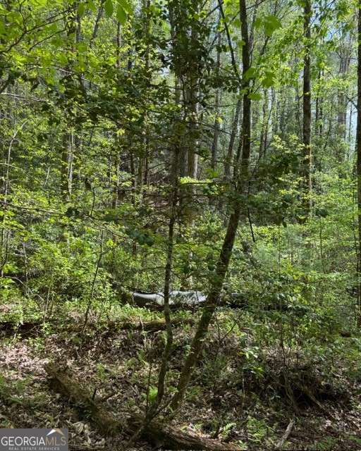 348 Hemlock Trail Property Photo 14