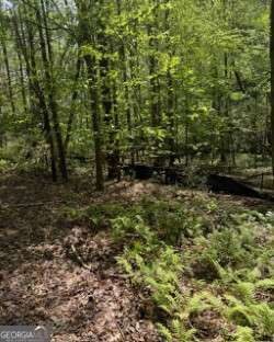 348 Hemlock Trail Property Photo 15
