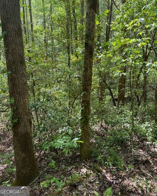 348 Hemlock Trail Property Photo 16