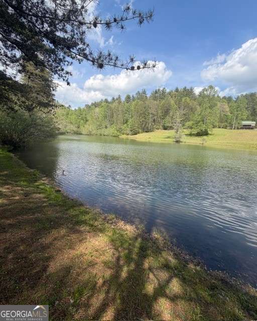 348 Hemlock Trail Property Photo 17