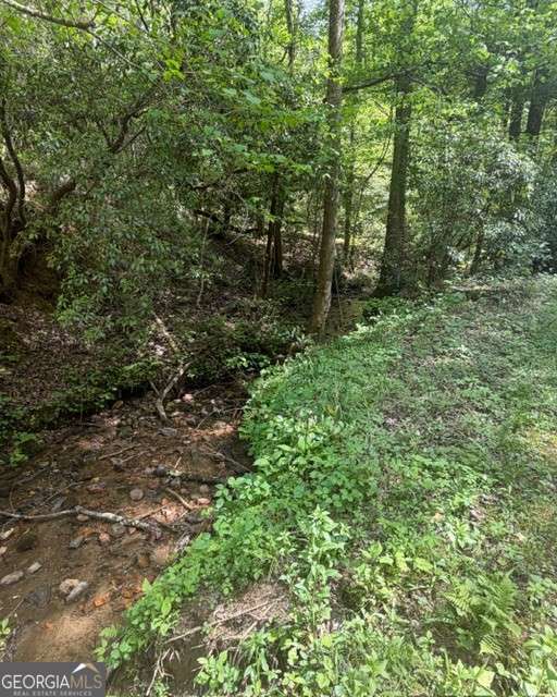 348 Hemlock Trail Property Photo 18