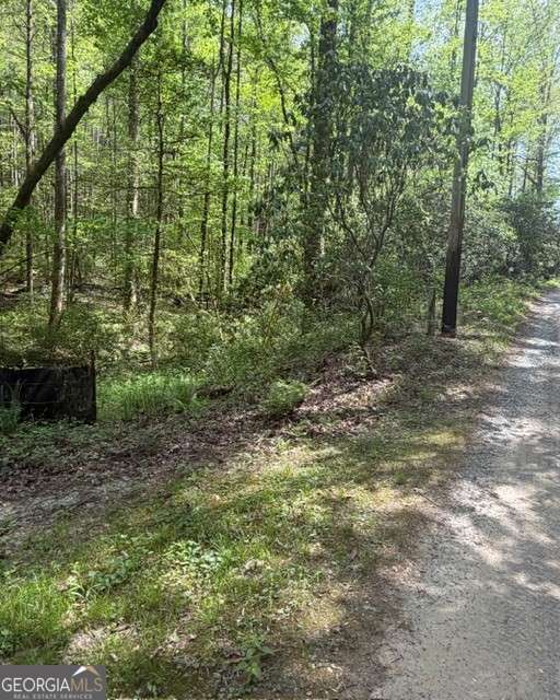348 Hemlock Trail Property Photo 20