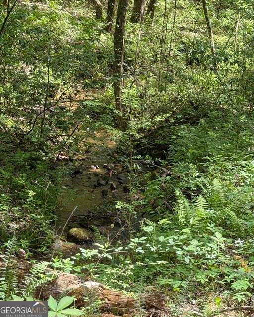 348 Hemlock Trail Property Photo 21