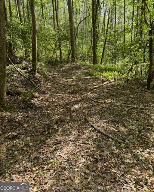 348 Hemlock Trail Property Photo 25