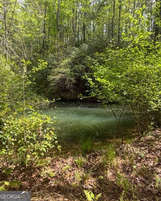 348 Hemlock Trail Property Photo 26