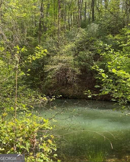 348 Hemlock Trail Property Photo 28