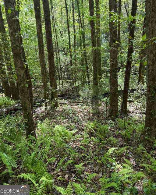 348 Hemlock Trail Property Photo 29