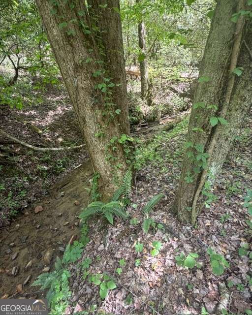 348 Hemlock Trail Property Photo 33