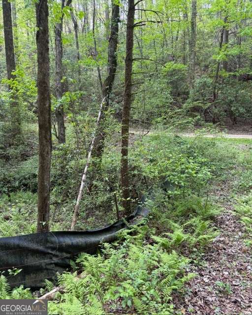 348 Hemlock Trail Property Photo 34