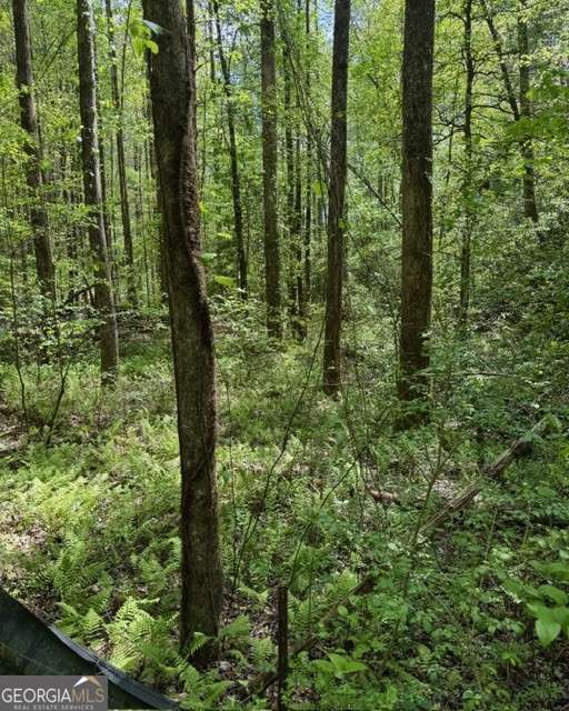 348 Hemlock Trail Property Photo 38