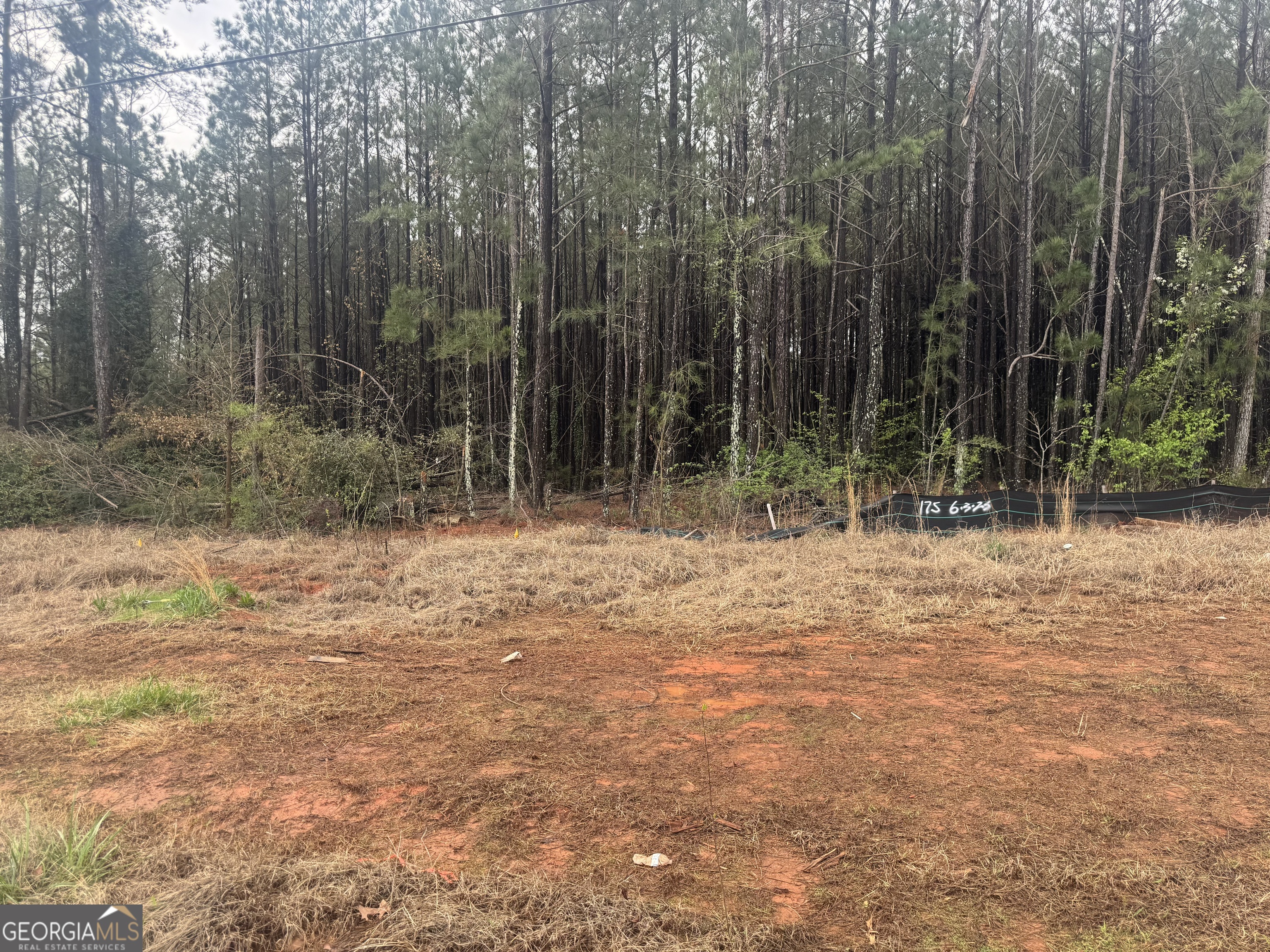 6679 Highway 42 Property Photo 2