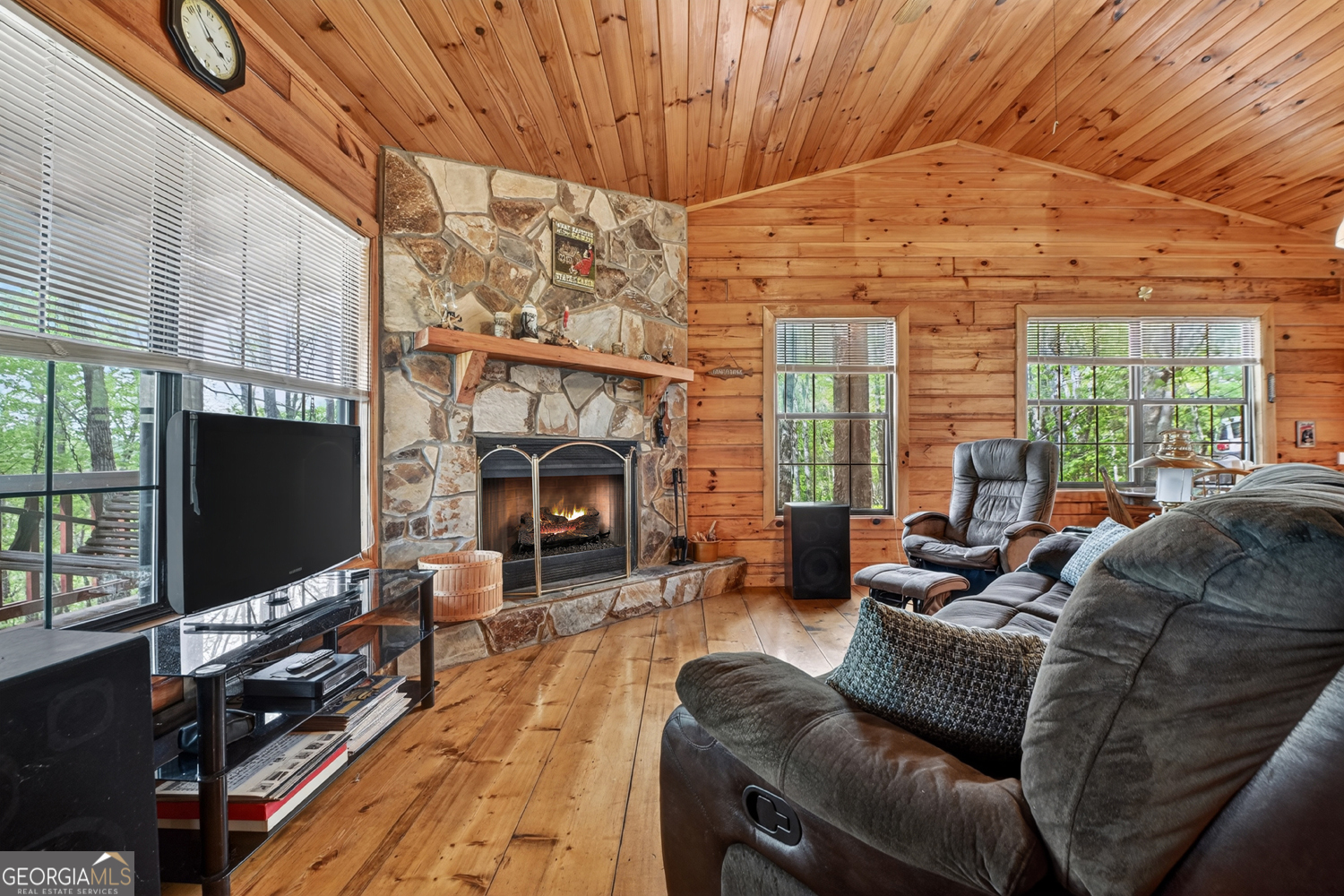 660 Ripshin Mountain Road Property Photo 4