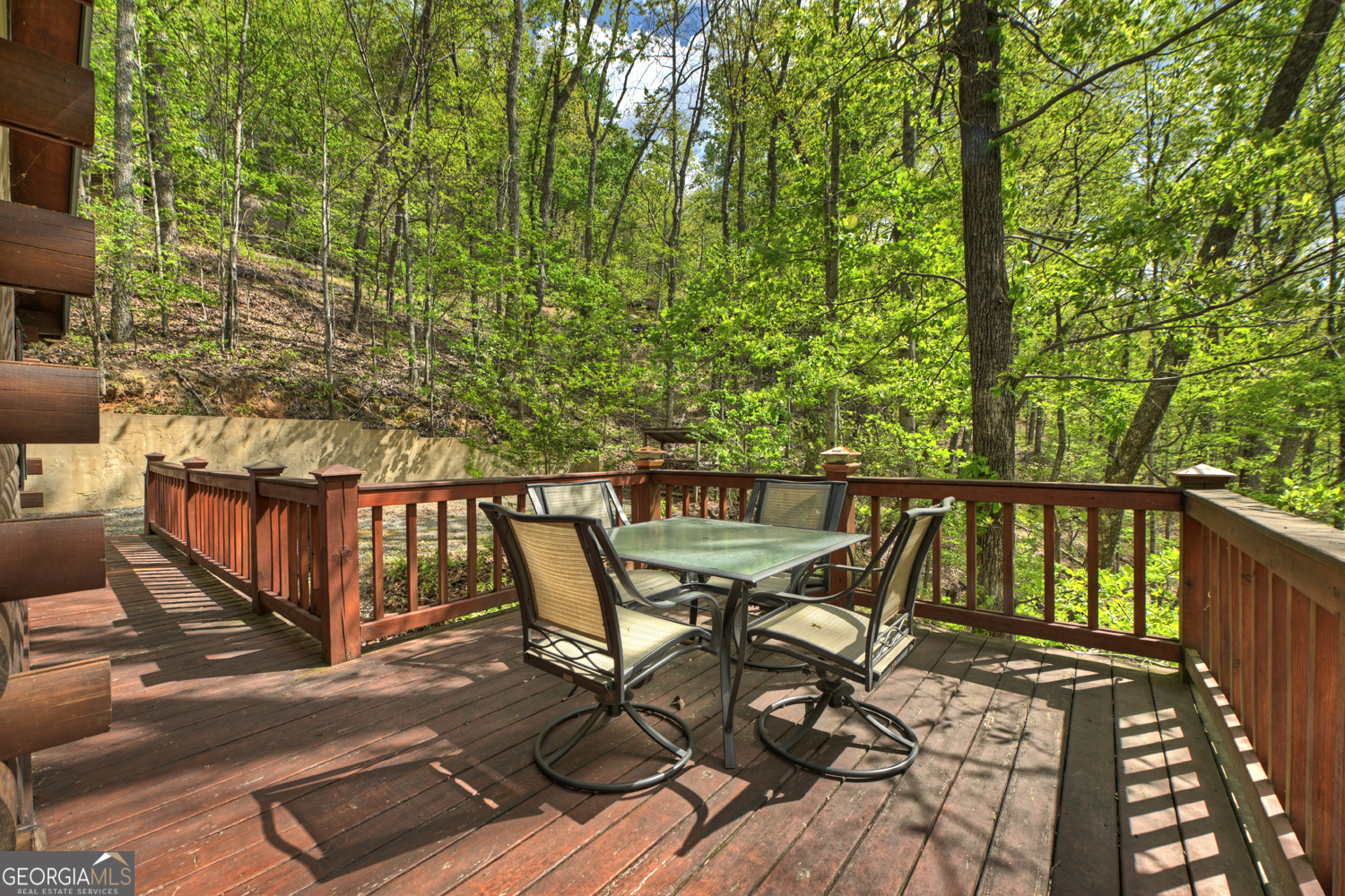 660 Ripshin Mountain Road Property Photo 18