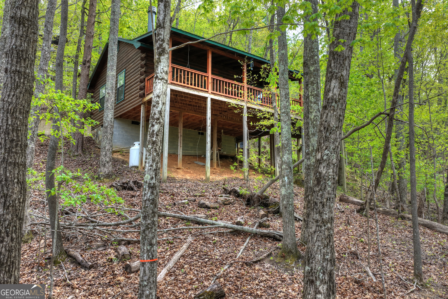 660 Ripshin Mountain Road Property Photo 32