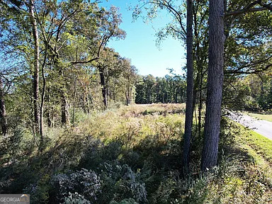 800 Hairl Lake Road Property Photo 10