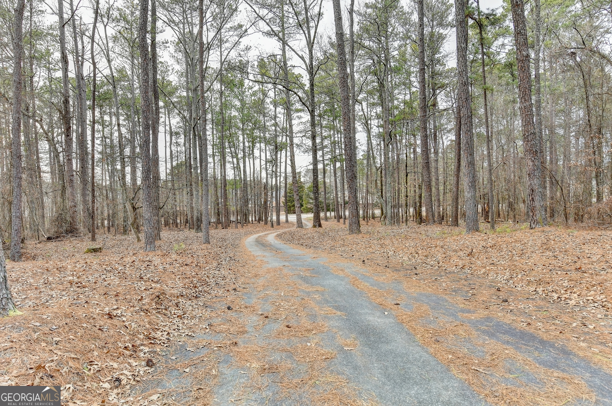1000 Grayson Parkway Property Photo 54