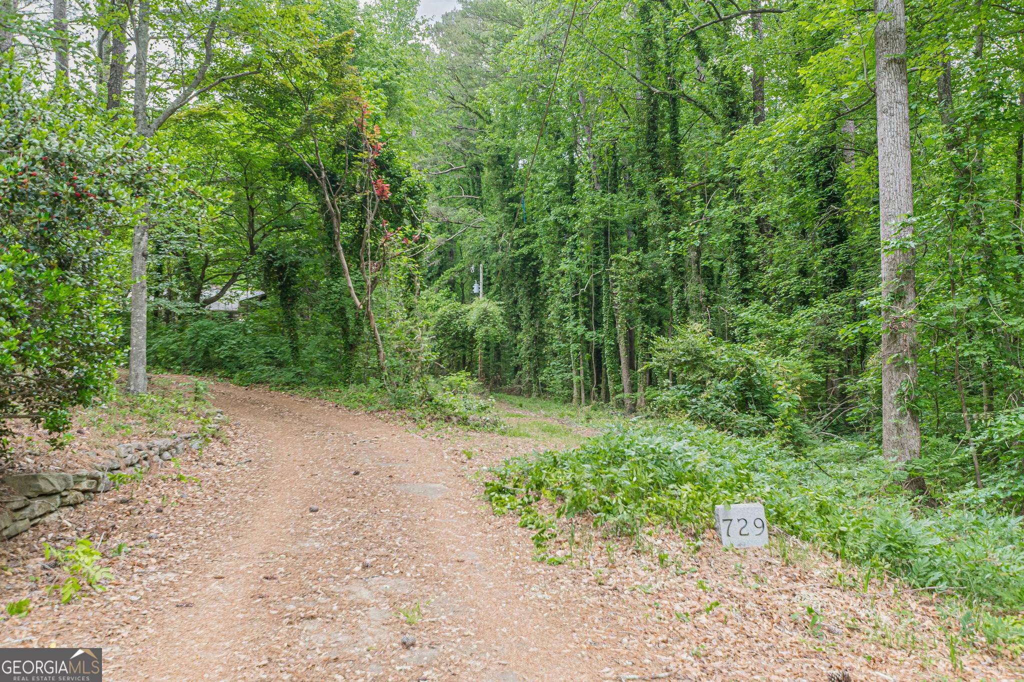 729 Ga-92 Property Photo 56