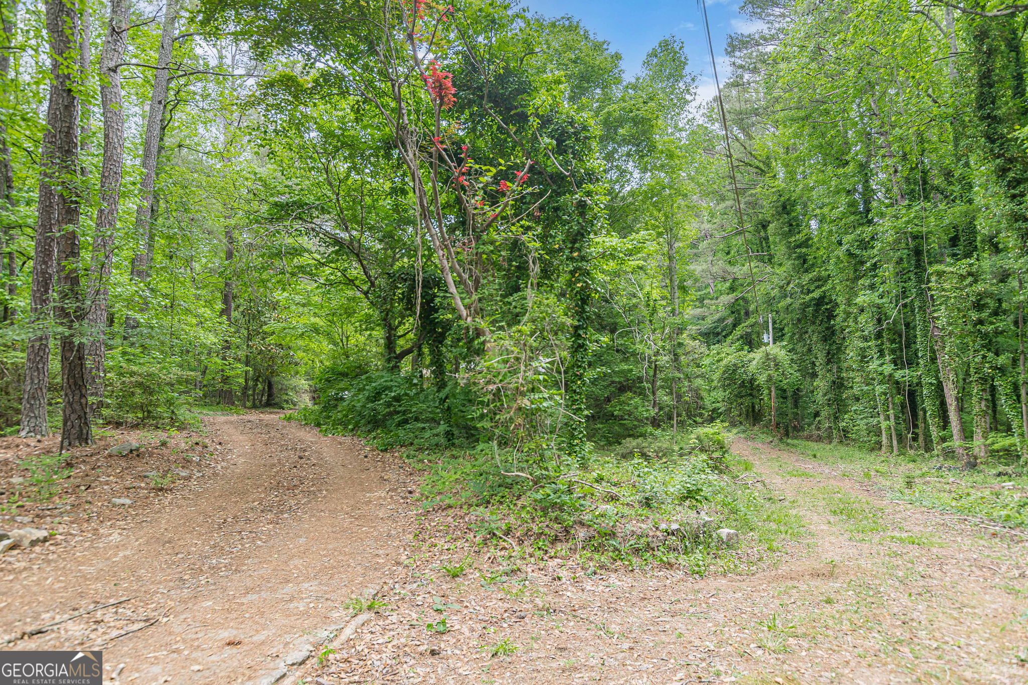 729 Ga-92 Property Photo 58