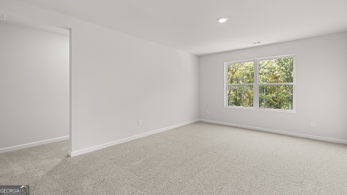 333 Belmont Drive Property Photo 23