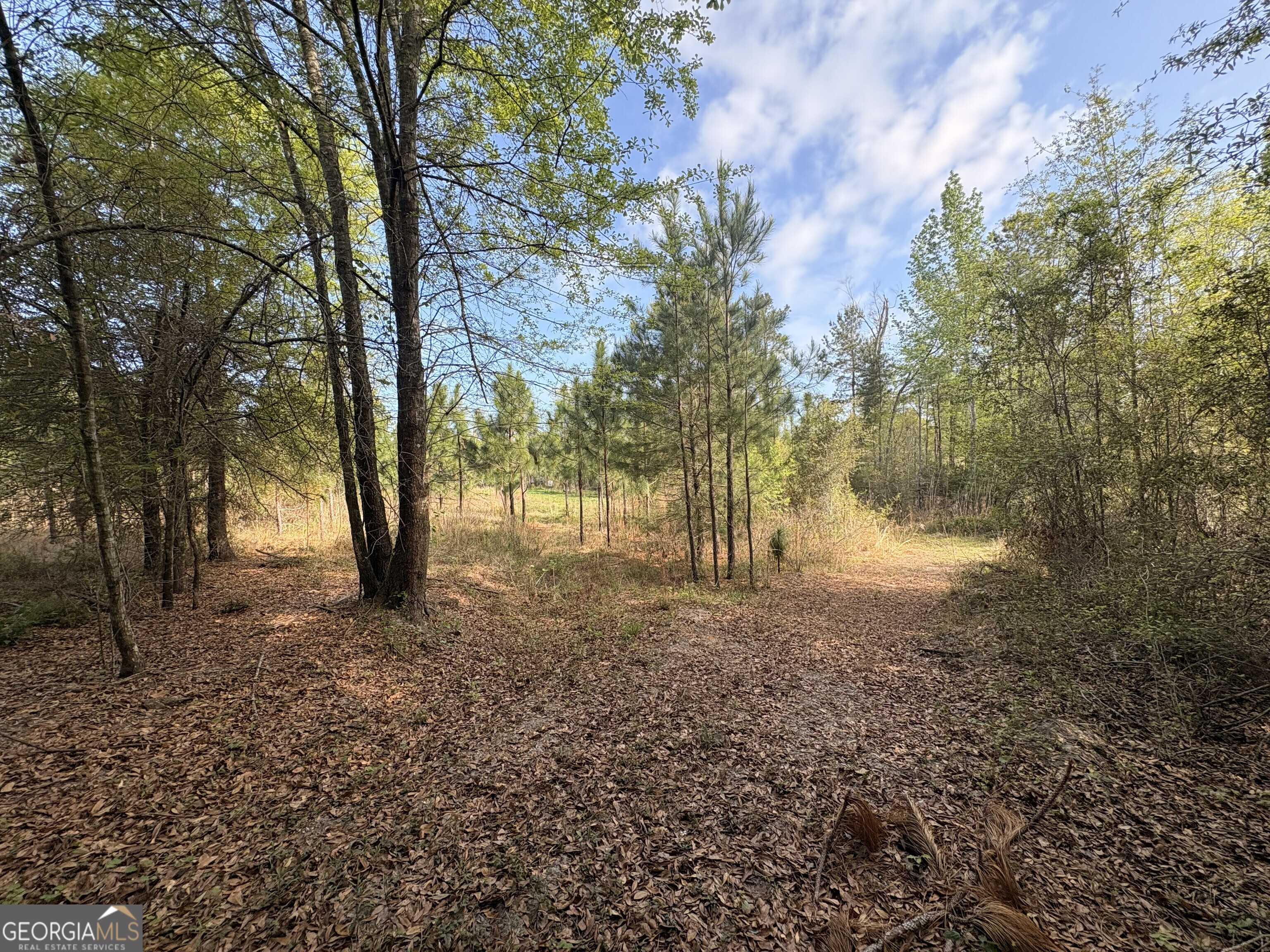 001 Old Poor Robin Tract 1 Property Photo 10