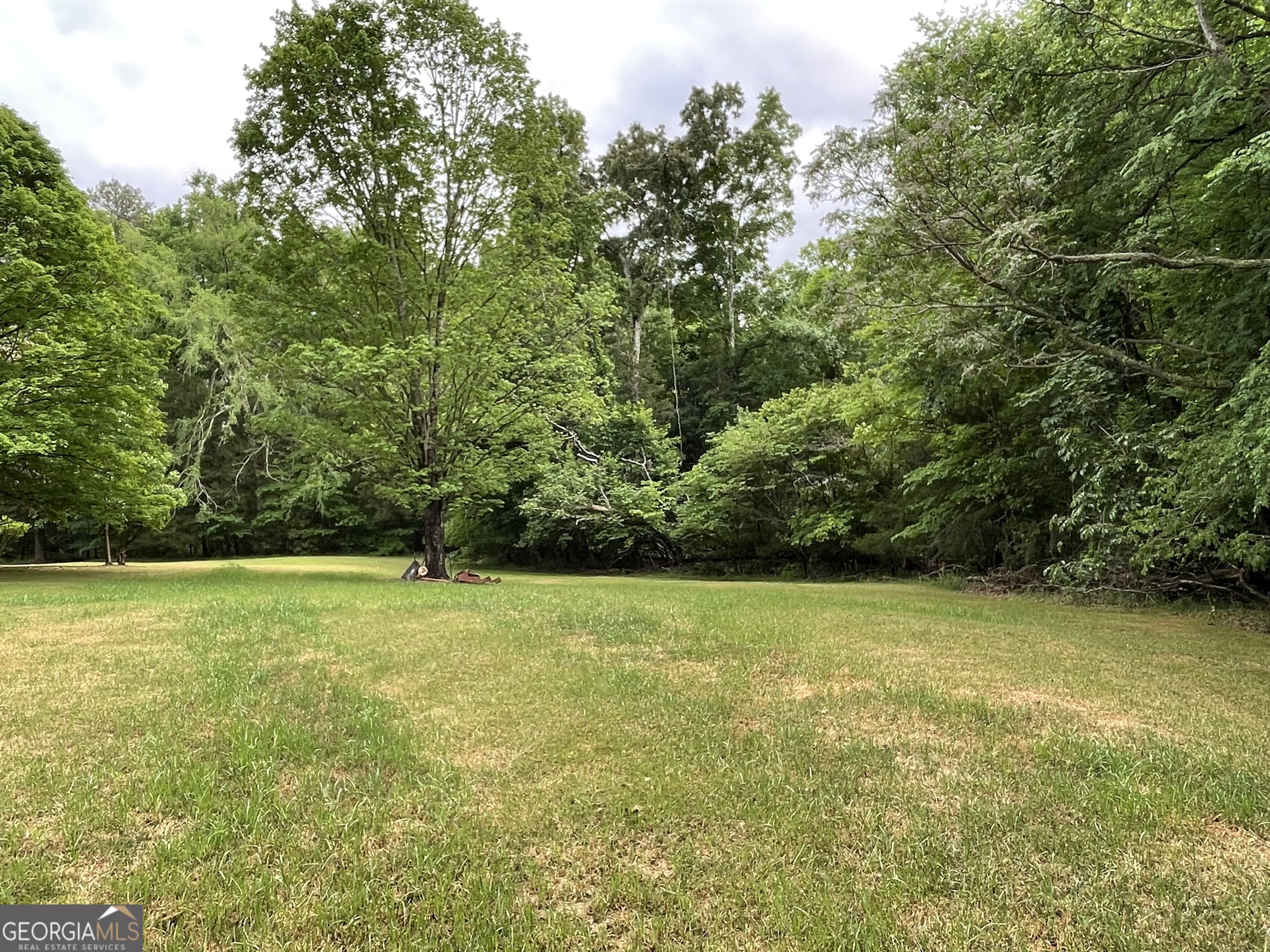 837 Bartram Trace Road Property Photo 64