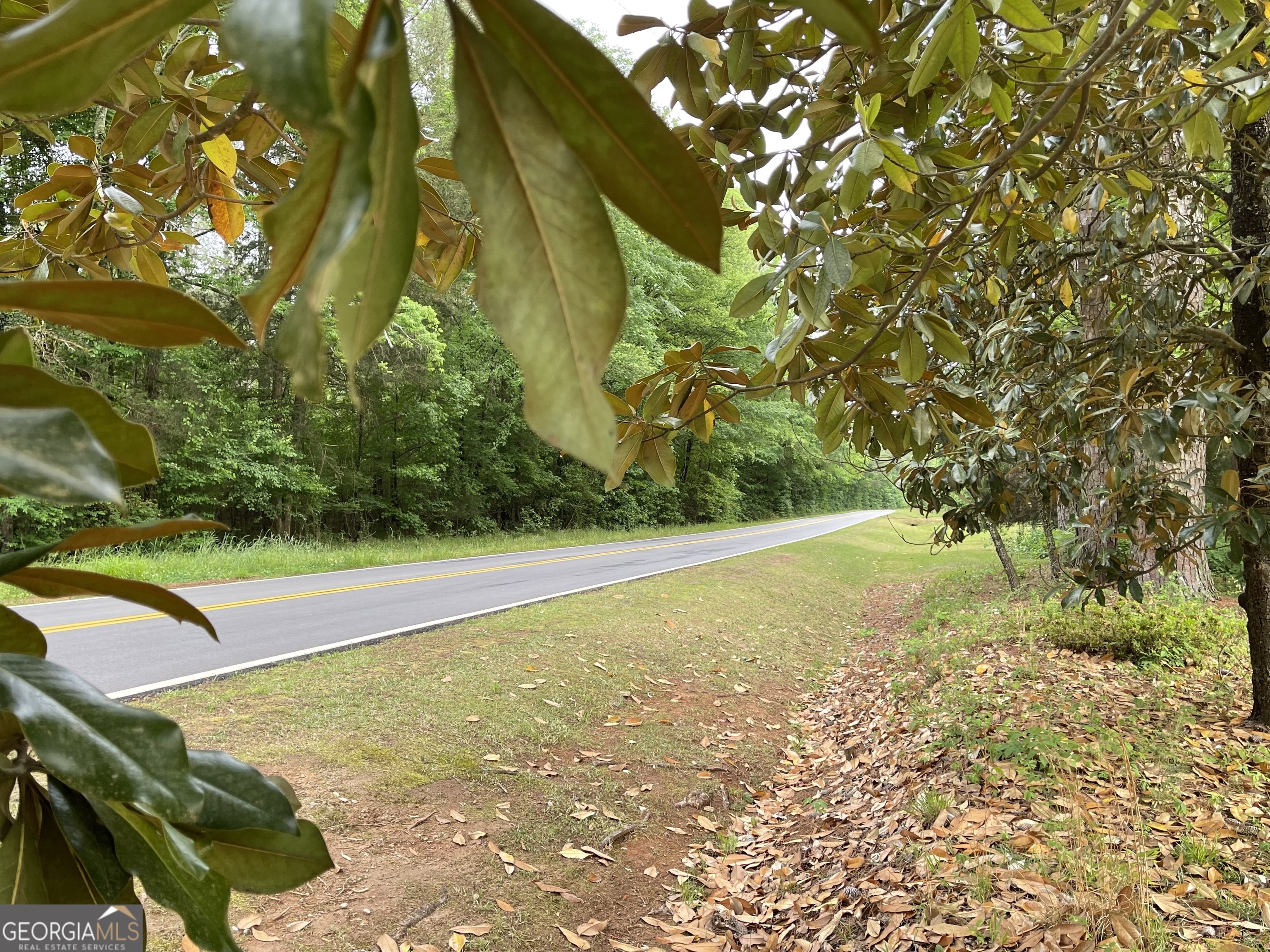 837 Bartram Trace Road Property Photo 70