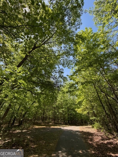 480 Rock House Road Property Photo 5