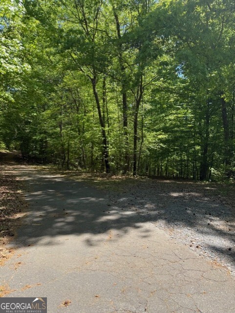 480 Rock House Road Property Photo 10