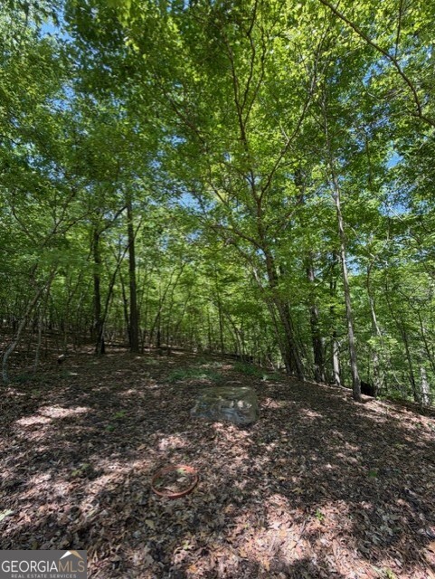 480 Rock House Road Property Photo 12