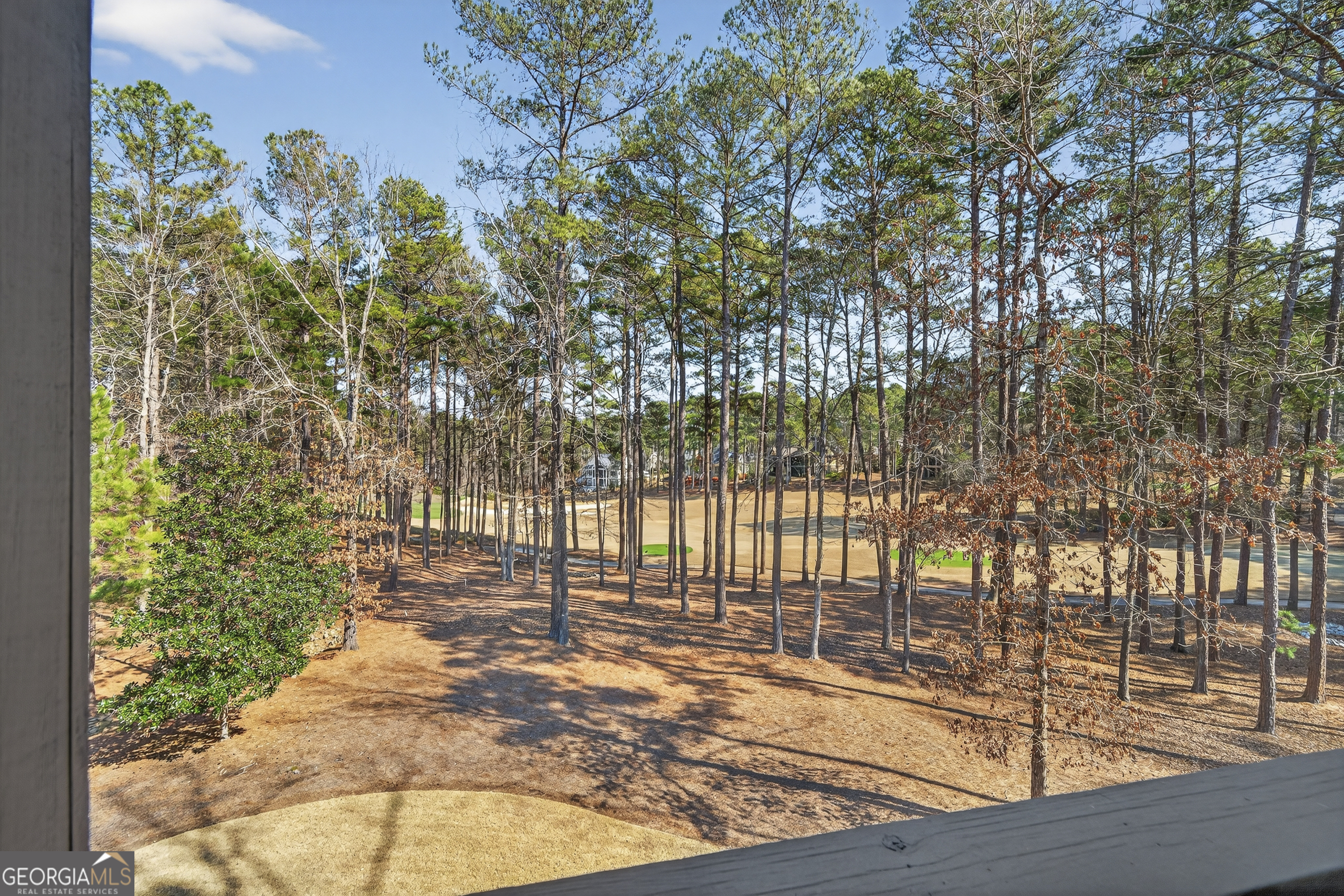 1021 Swift Creek Property Photo 29