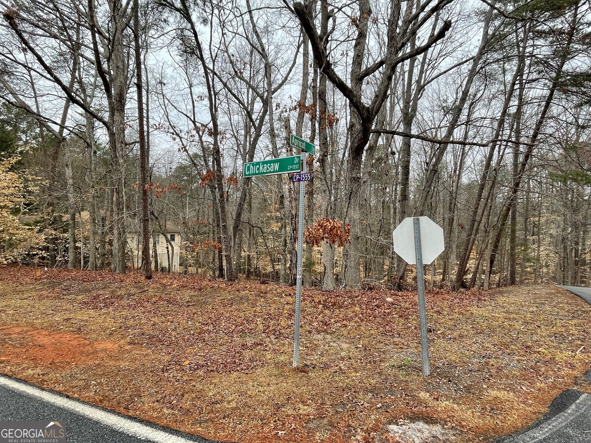Lot 43 Chickasaw Drive Property Photo 2