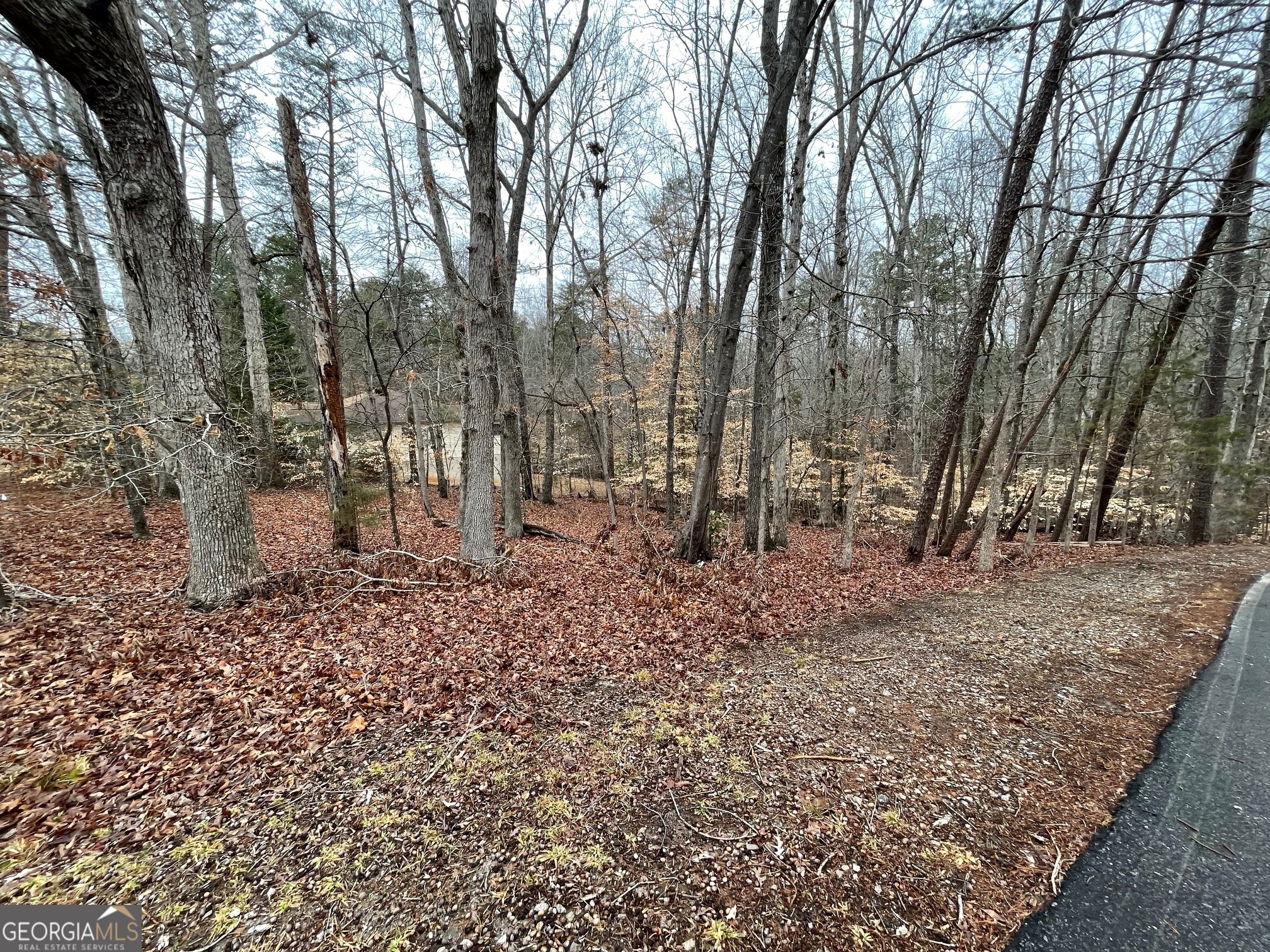 Lot 43 Chickasaw Drive Property Photo 3
