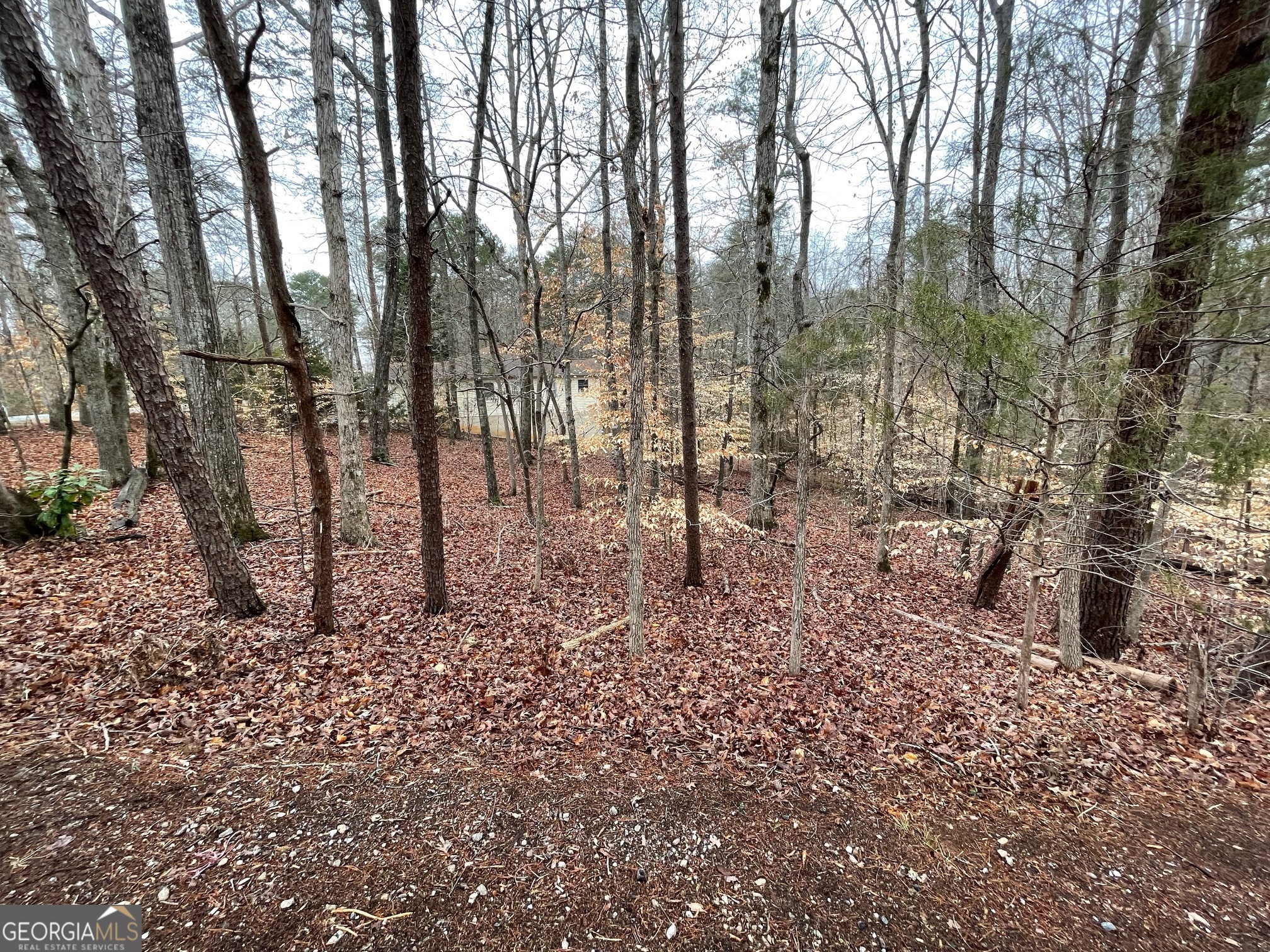 Lot 43 Chickasaw Drive Property Photo 4