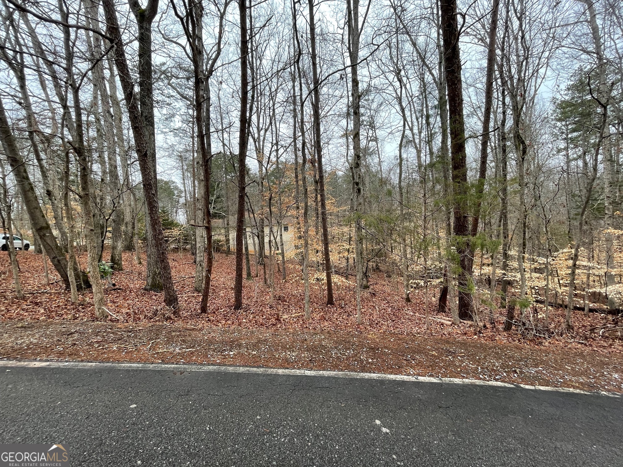 Lot 43 Chickasaw Drive Property Photo 5