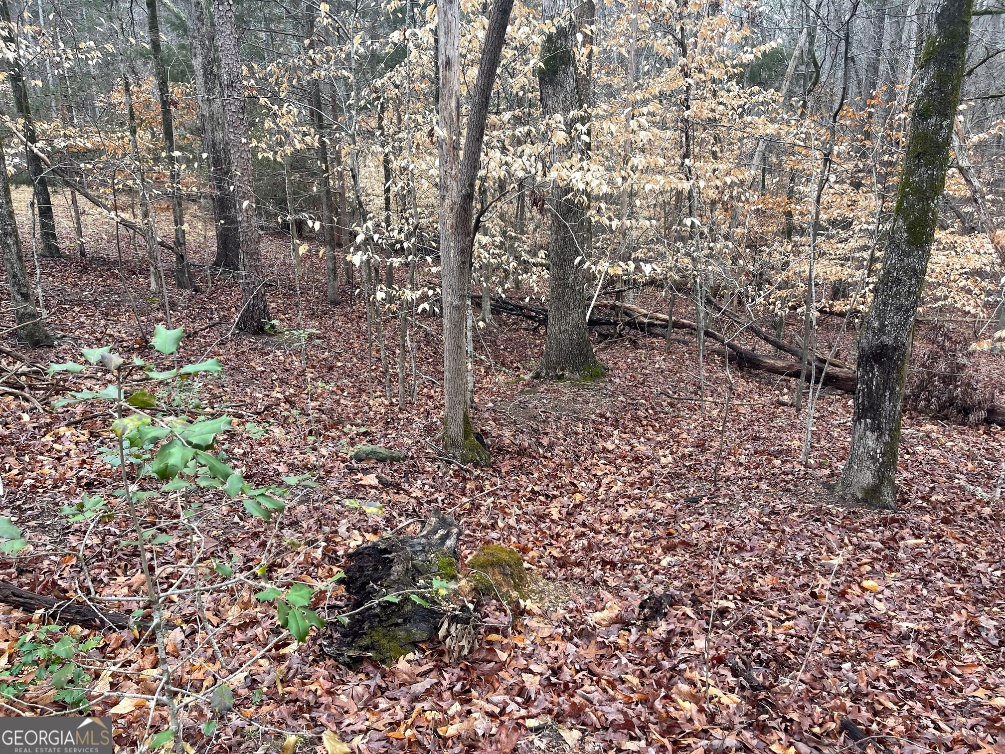 Lot 43 Chickasaw Drive Property Photo 7