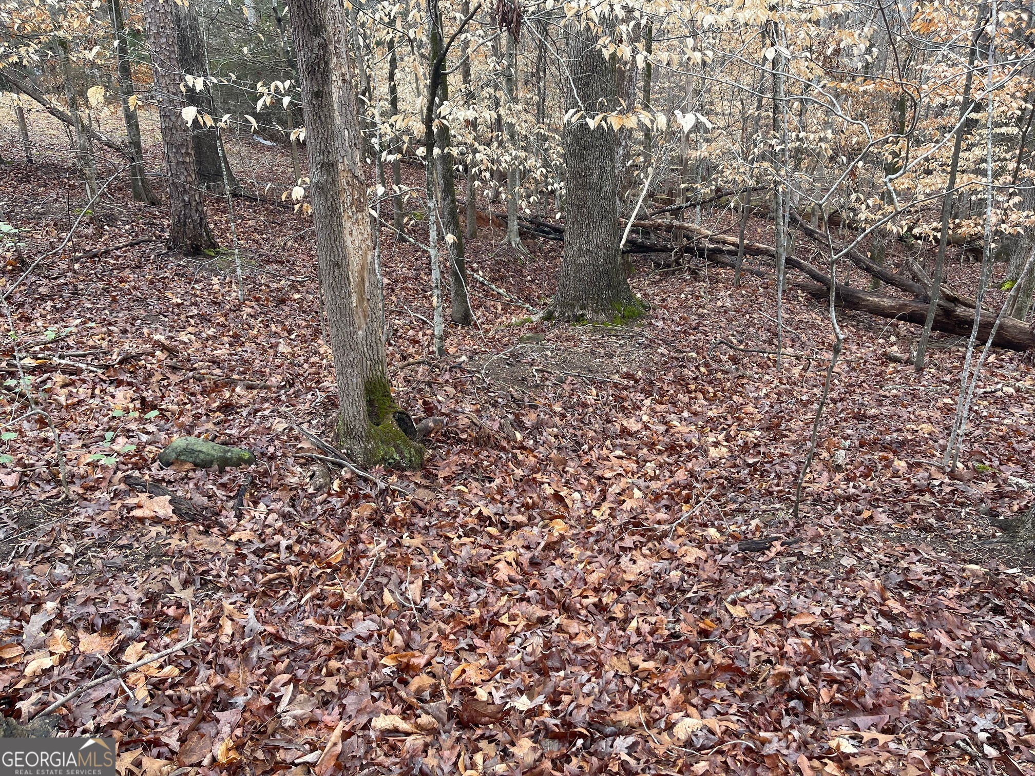 Lot 43 Chickasaw Drive Property Photo 8