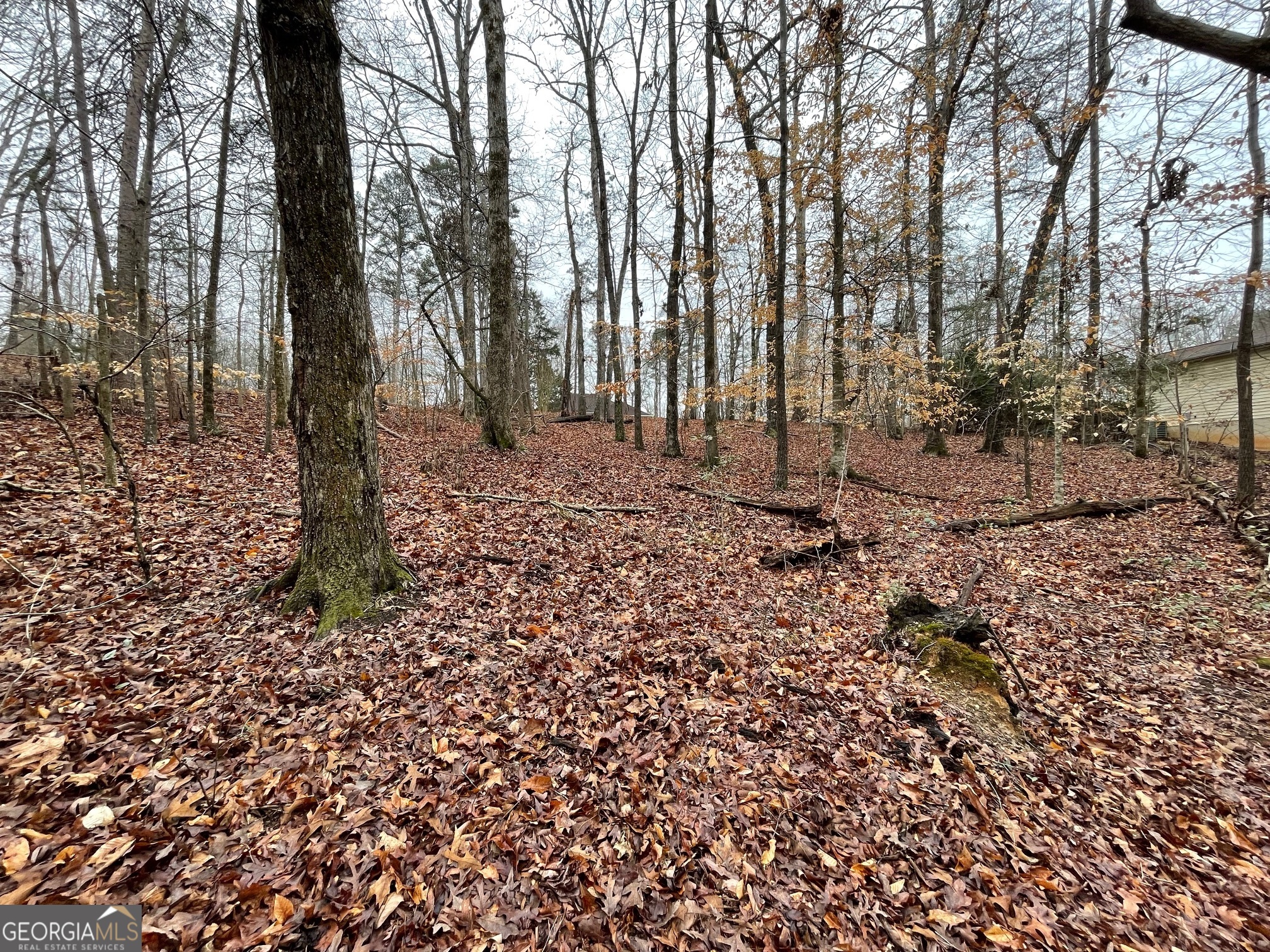 Lot 43 Chickasaw Drive Property Photo 9