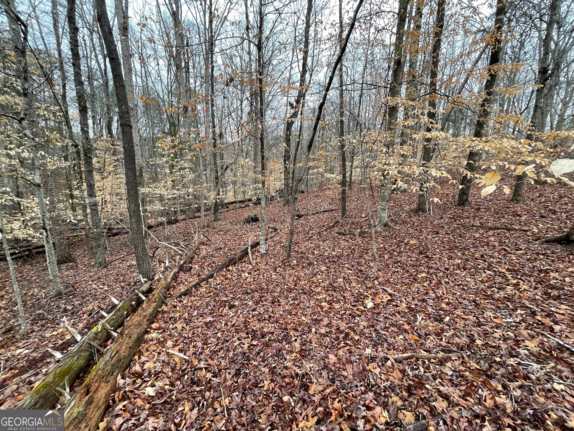 Lot 43 Chickasaw Drive Property Photo 10