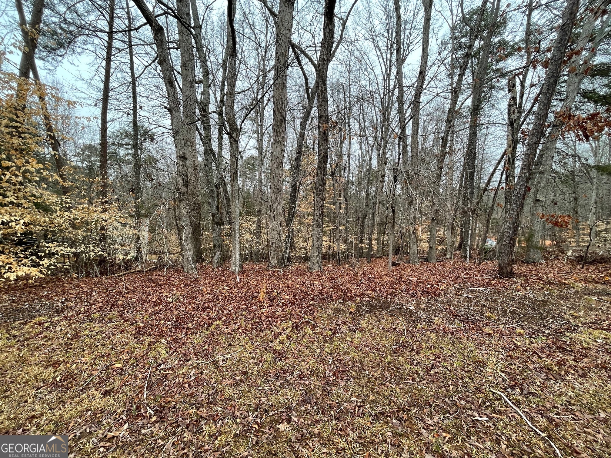 Lot 43 Chickasaw Drive Property Photo 11