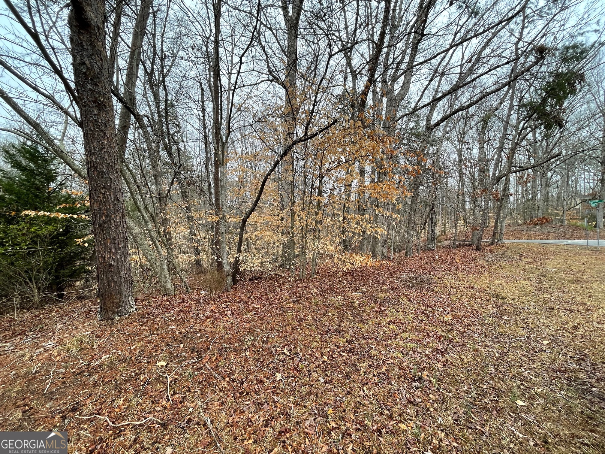 Lot 43 Chickasaw Drive Property Photo 12
