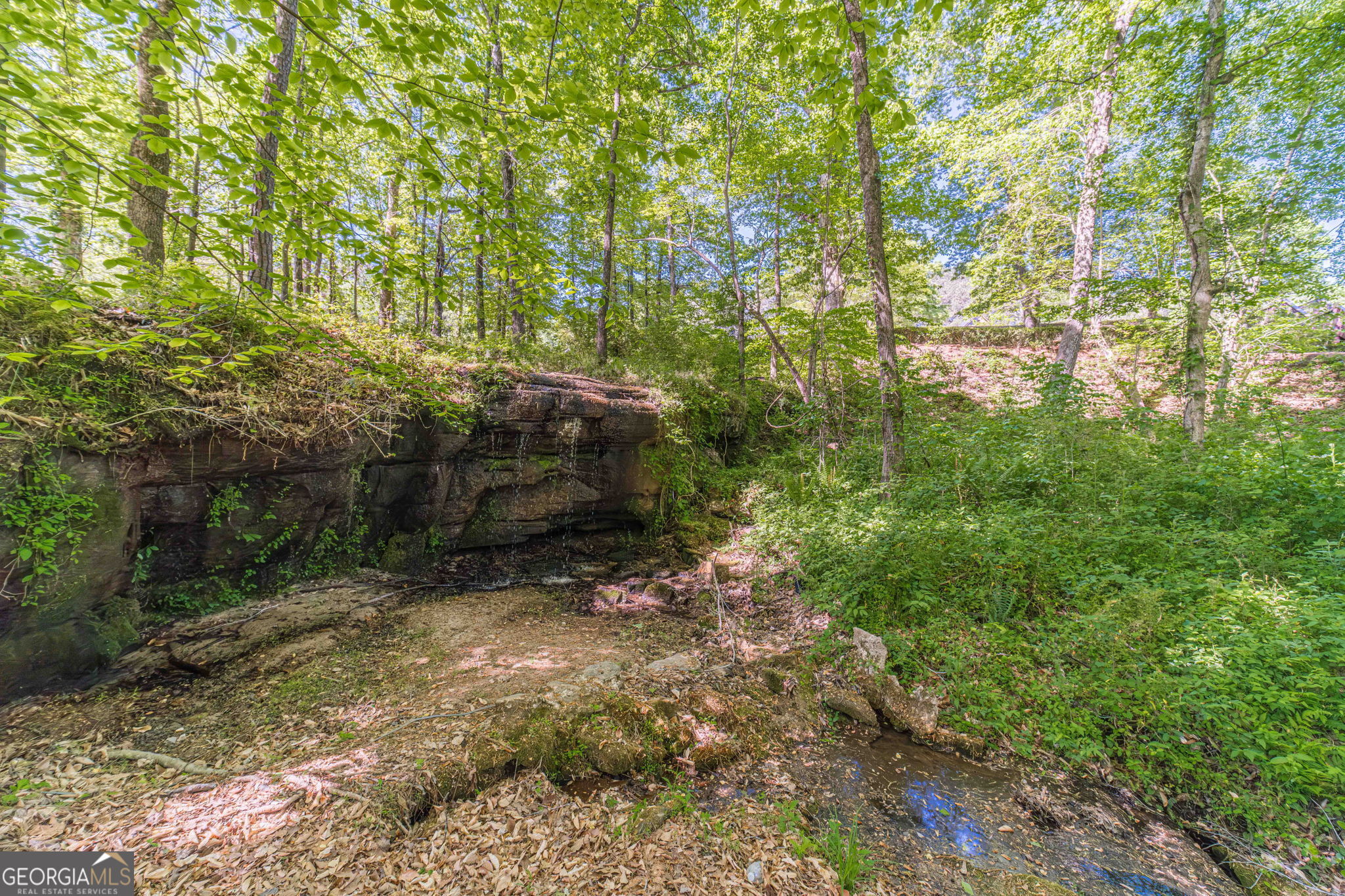 2513 Carleton Gold Road Property Photo 41